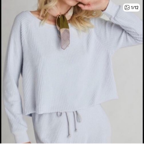 Wildfox Tops - Wildfox Heather light Blue Gray Long Sleeve Top size M